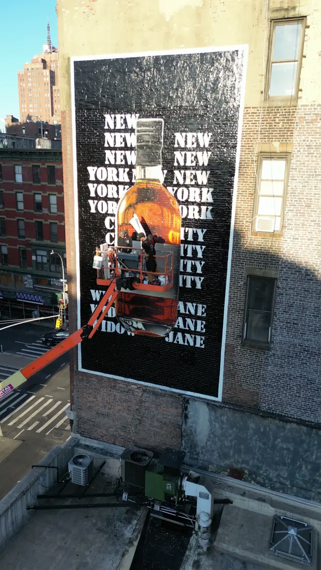 Widow Jane mural by Open Air Gallery, New York, NY