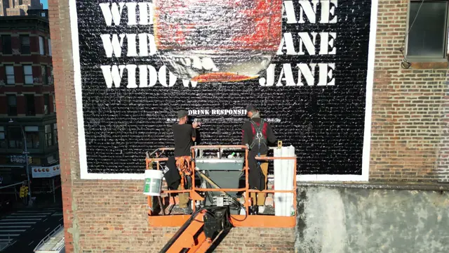 Widow Jane mural by Open Air Gallery, New York, NY